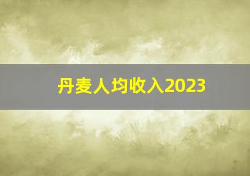 丹麦人均收入2023