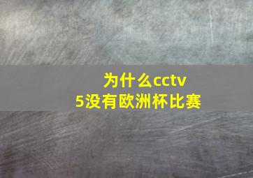 为什么cctv5没有欧洲杯比赛