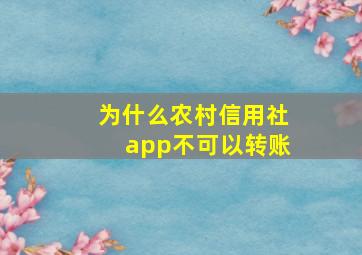 为什么农村信用社app不可以转账