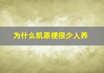 为什么凯恩梗很少人养