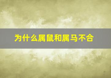 为什么属鼠和属马不合