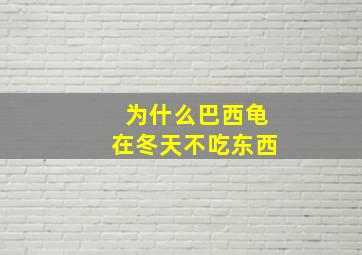 为什么巴西龟在冬天不吃东西