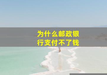 为什么邮政银行支付不了钱