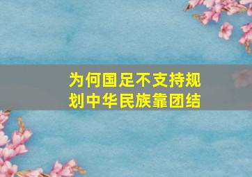 为何国足不支持规划中华民族靠团结