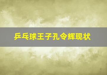 乒乓球王子孔令辉现状