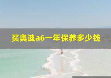 买奥迪a6一年保养多少钱