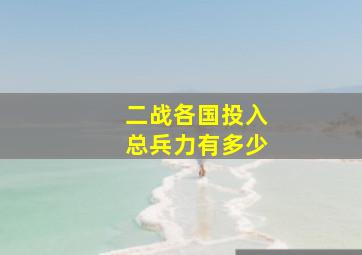 二战各国投入总兵力有多少