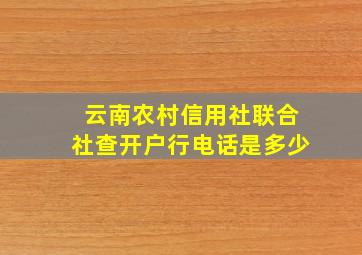 云南农村信用社联合社查开户行电话是多少