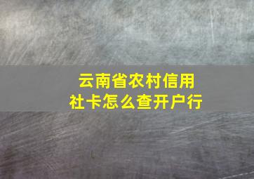 云南省农村信用社卡怎么查开户行