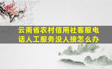 云南省农村信用社客服电话人工服务没人接怎么办