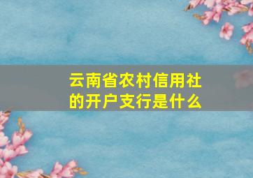 云南省农村信用社的开户支行是什么