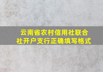 云南省农村信用社联合社开户支行正确填写格式