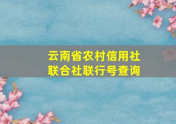 云南省农村信用社联合社联行号查询