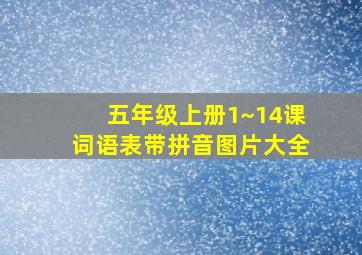 五年级上册1~14课词语表带拼音图片大全