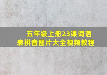 五年级上册23课词语表拼音图片大全视频教程