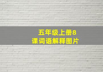 五年级上册8课词语解释图片