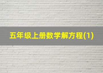 五年级上册数学解方程(1)