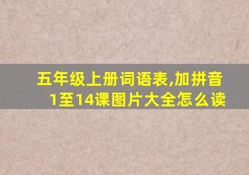 五年级上册词语表,加拼音1至14课图片大全怎么读