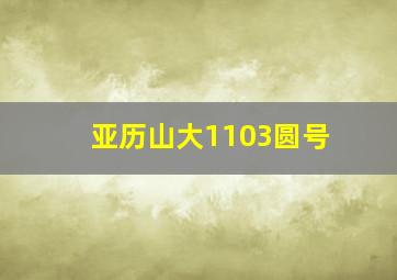 亚历山大1103圆号