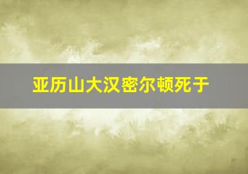 亚历山大汉密尔顿死于