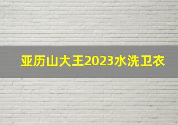 亚历山大王2023水洗卫衣