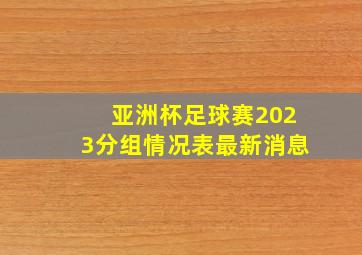 亚洲杯足球赛2023分组情况表最新消息