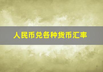 人民币兑各种货币汇率