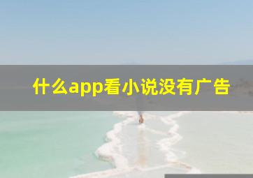 什么app看小说没有广告