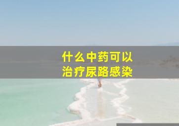 什么中药可以治疗尿路感染