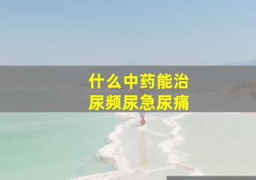 什么中药能治尿频尿急尿痛