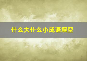 什么大什么小成语填空