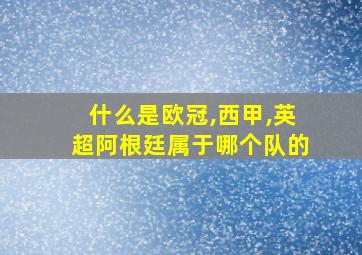 什么是欧冠,西甲,英超阿根廷属于哪个队的