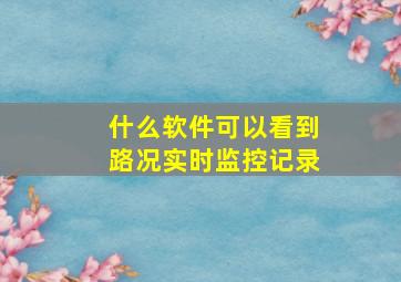 什么软件可以看到路况实时监控记录