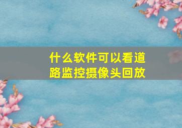 什么软件可以看道路监控摄像头回放