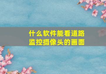 什么软件能看道路监控摄像头的画面