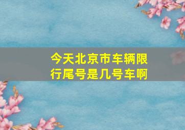 今天北京市车辆限行尾号是几号车啊