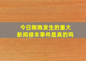 今日刚刚发生的重大新闻禄丰事件是真的吗