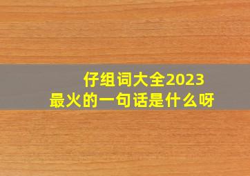 仔组词大全2023最火的一句话是什么呀