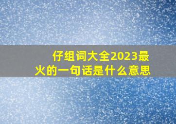 仔组词大全2023最火的一句话是什么意思