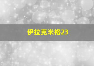 伊拉克米格23