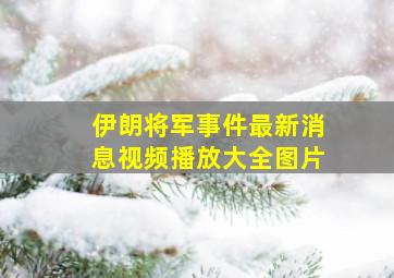 伊朗将军事件最新消息视频播放大全图片