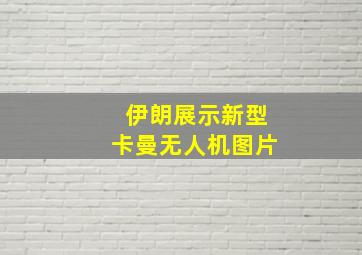 伊朗展示新型卡曼无人机图片