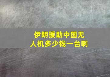 伊朗援助中国无人机多少钱一台啊