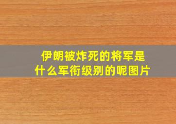 伊朗被炸死的将军是什么军衔级别的呢图片