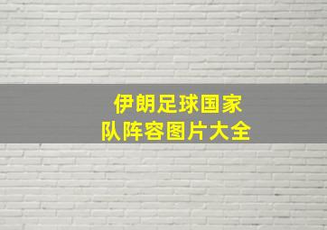 伊朗足球国家队阵容图片大全