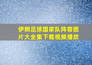 伊朗足球国家队阵容图片大全集下载视频播放