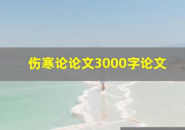 伤寒论论文3000字论文