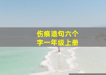 伤痕造句六个字一年级上册