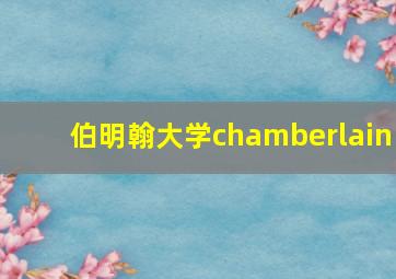 伯明翰大学chamberlain