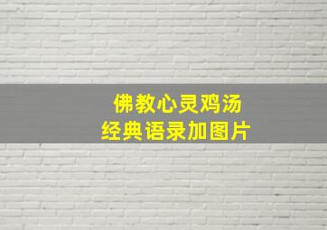 佛教心灵鸡汤经典语录加图片